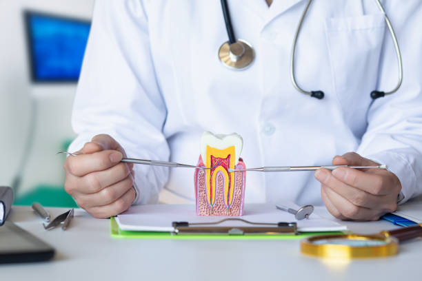Best Dental Abscess Treatment in Alamo, NV